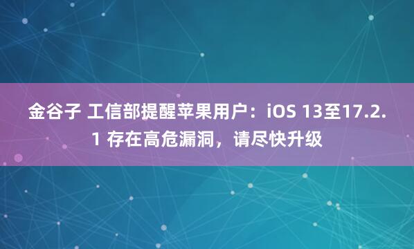 金谷子 工信部提醒苹果用户：iOS 13至17.2.1 存在高危漏洞，请尽快升级
