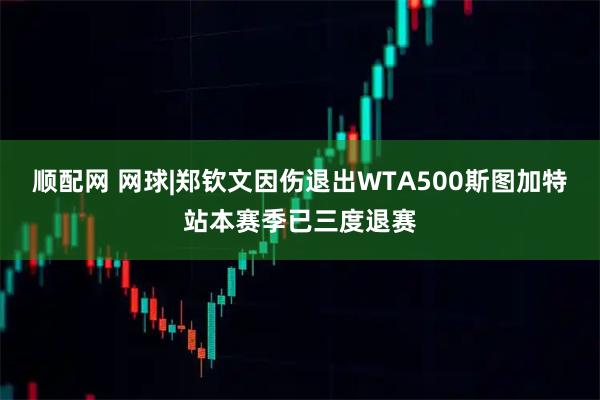 顺配网 网球|郑钦文因伤退出WTA500斯图加特站本赛季已三度退赛