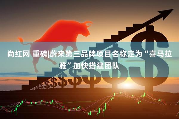 尚红网 重磅|蔚来第三品牌项目名称定为“喜马拉雅”加快搭建团队